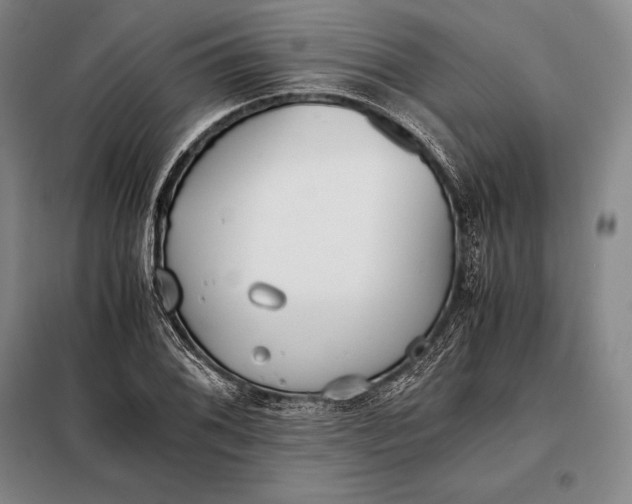 X0000098141076200805011338