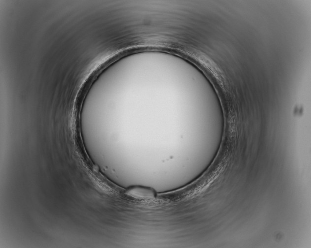 X0000098141077200805011338