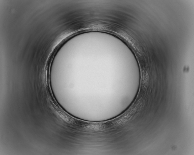 X0000098141078200805011338