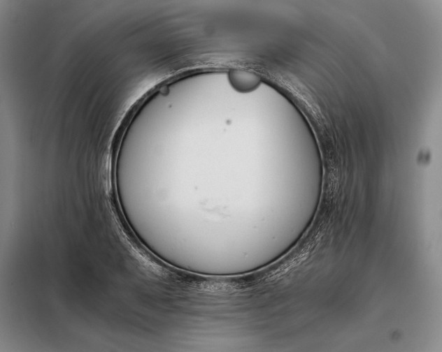X0000098141079200805011338
