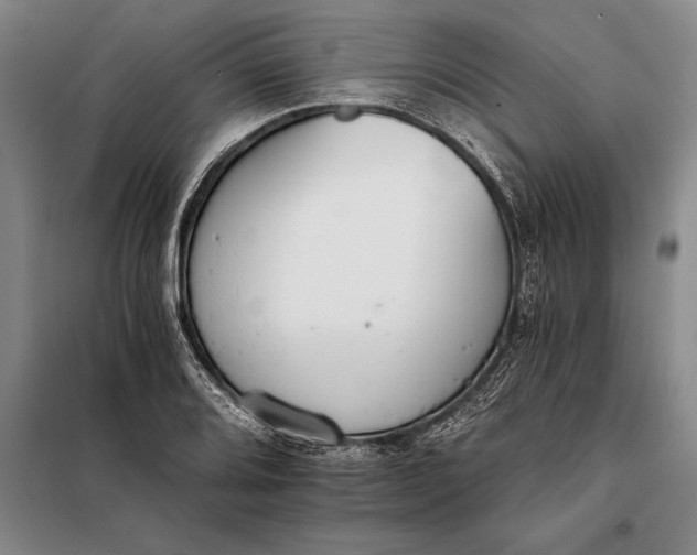 X0000098141080200805011338
