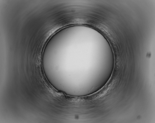 X0000098141081200805011338