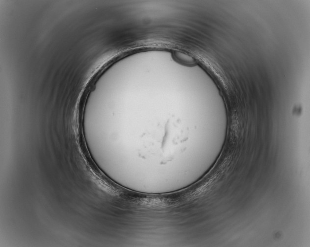X0000098141082200805011338