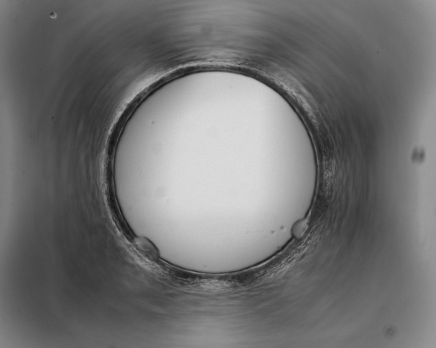X0000098141085200805011338