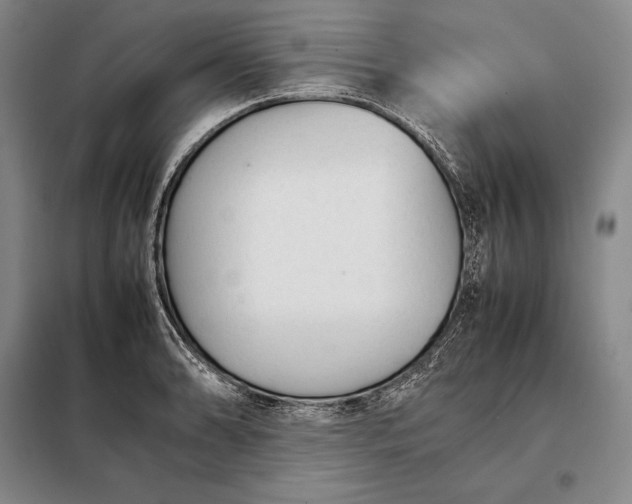 X0000098141086200805011338