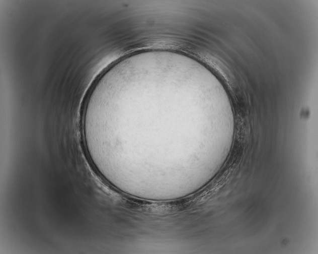 X0000098141087200805011338