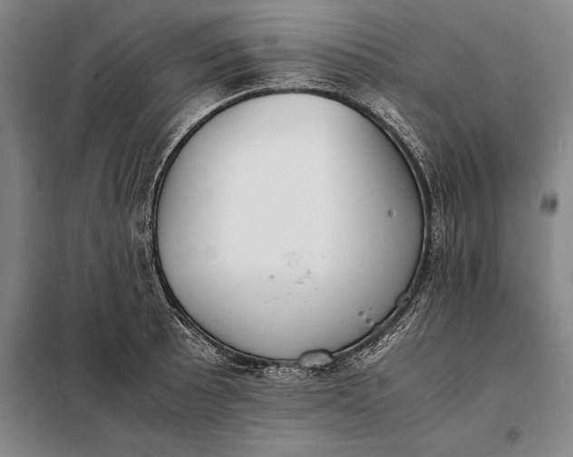 X0000098141089200805011338