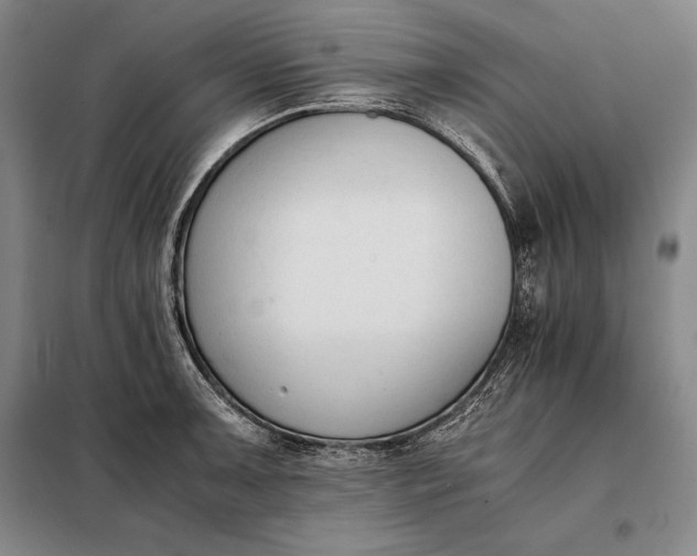 X0000098141091200805011338