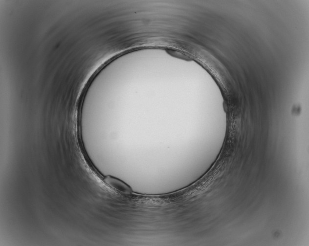X0000098141092200805011338