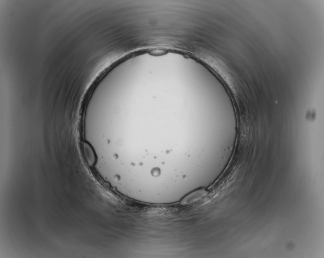 X0000098141093200805011338