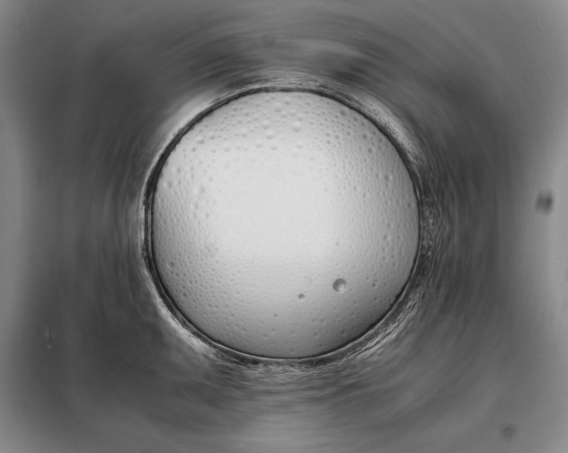 X0000098141095200805011338