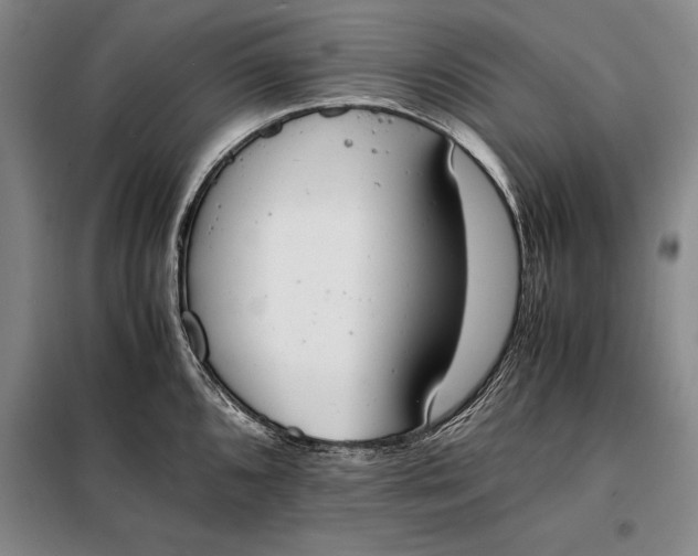 X0000098141096200805011338