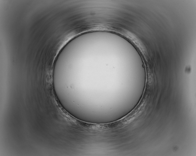 X0000098141097200805011338