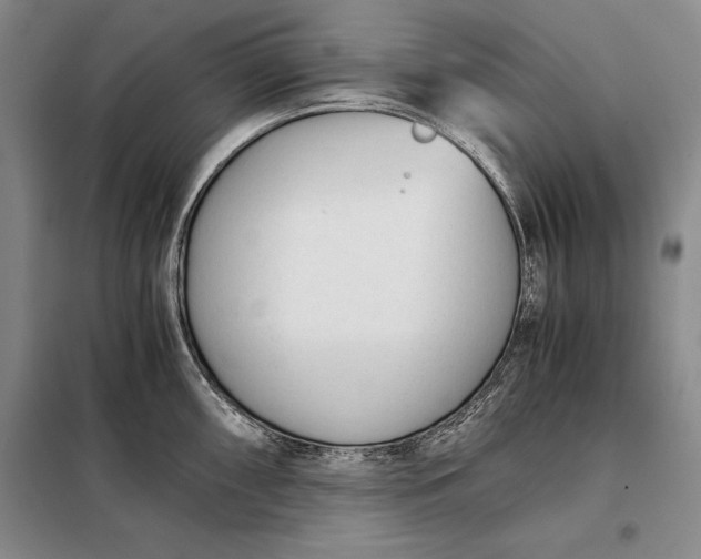 X0000098141098200805011338