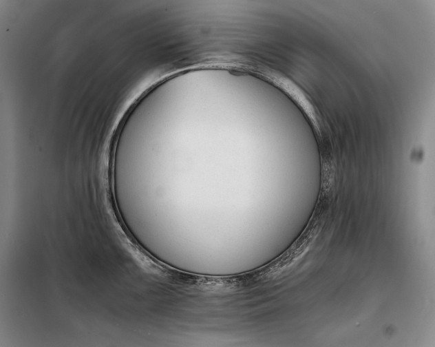 X0000098141099200805011338