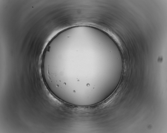 X0000098141102200805011338