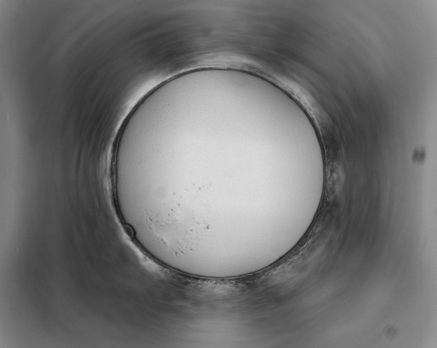 X0000098141103200805011338