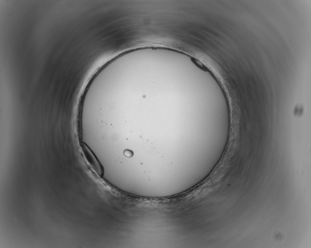 X0000098141104200805011338