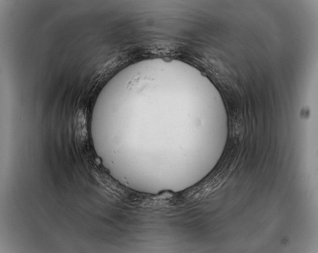 X0000098141106200805011337