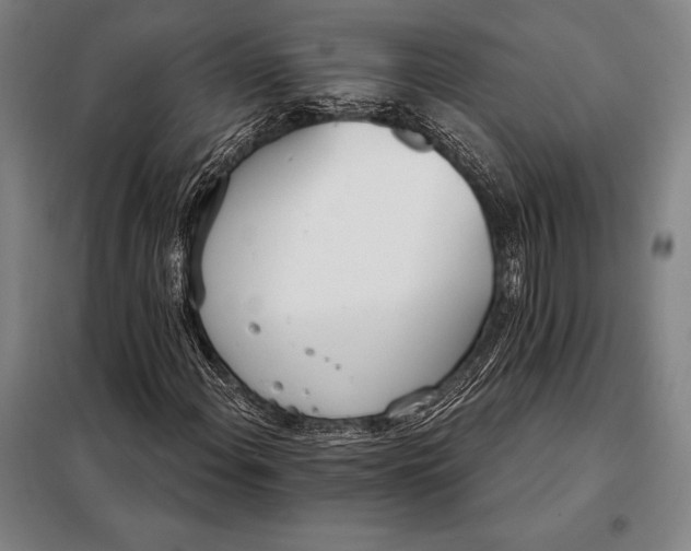 X0000098141108200805011337