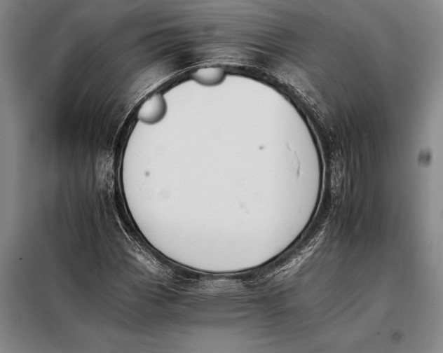 X0000098141113200805011337
