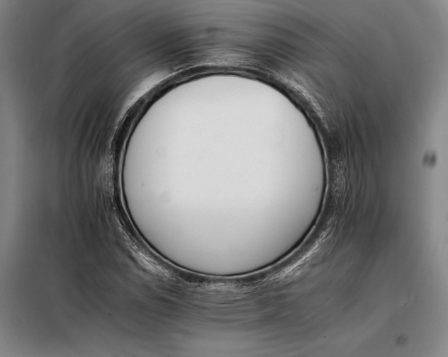 X0000098141114200805011337