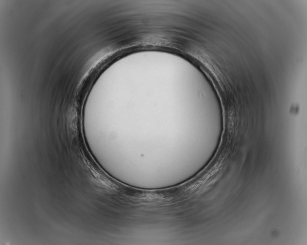 X0000098141115200805011337