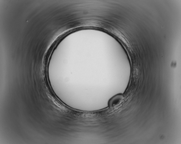 X0000098141116200805011337