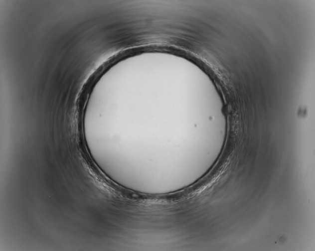 X0000098141118200805011337