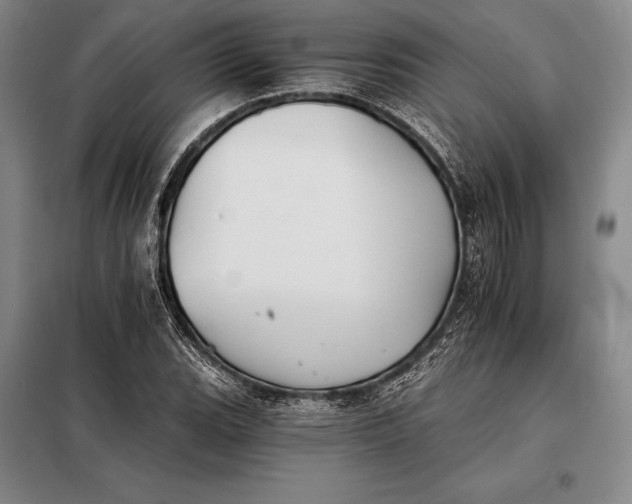 X0000098141119200805011337