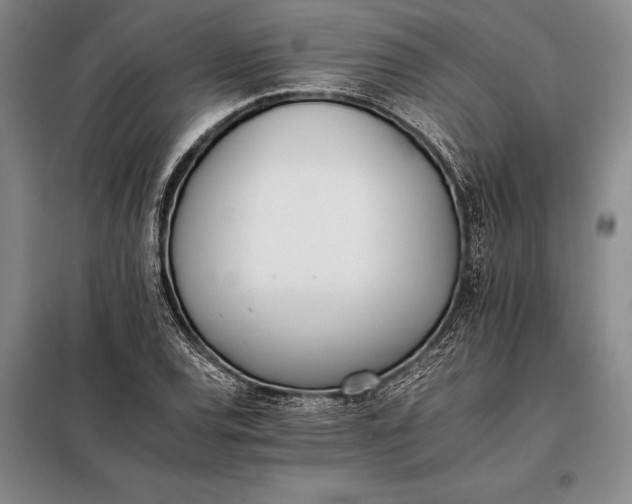 X0000098141120200805011337