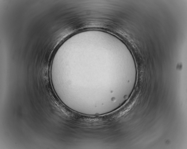 X0000098141121200805011337