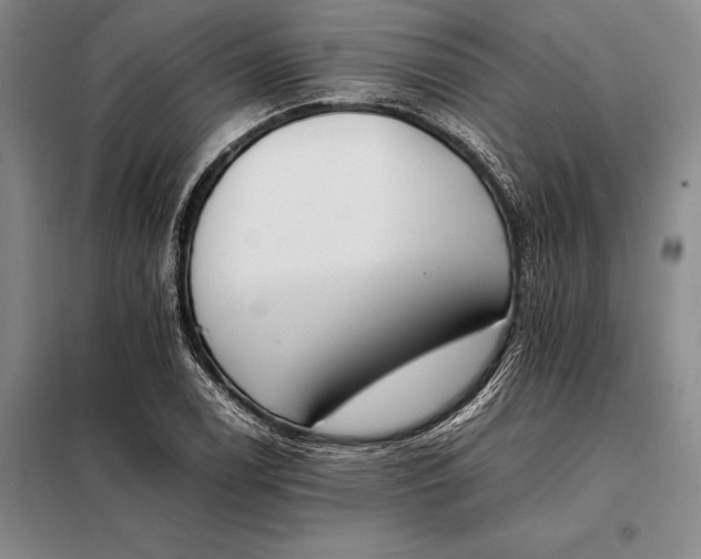 X0000098141122200805011337
