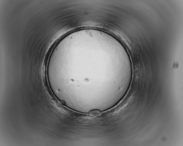 X0000098141125200805011337