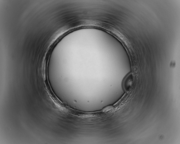 X0000098141127200805011337