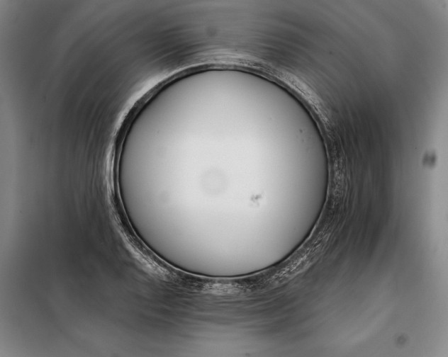 X0000098141128200805011337
