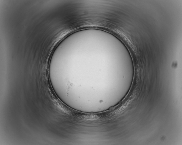 X0000098141129200805011337
