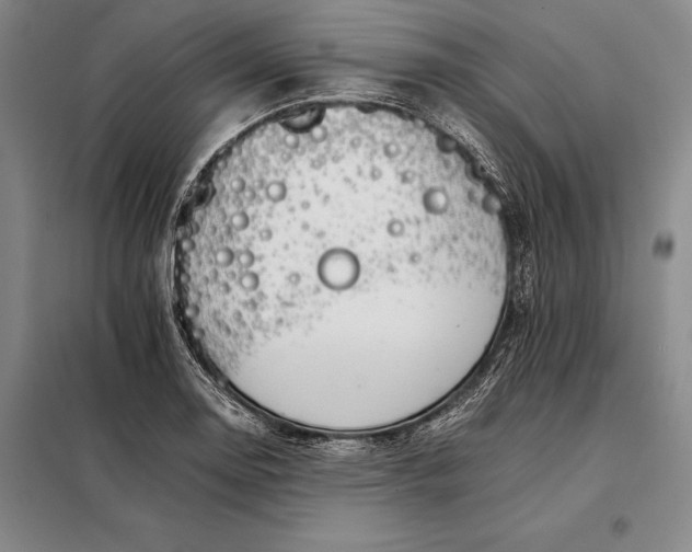 X0000098141130200805011337