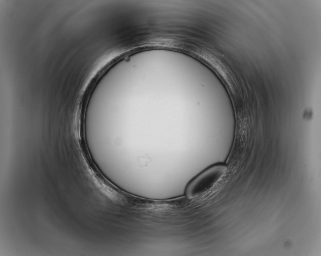 X0000098141131200805011337