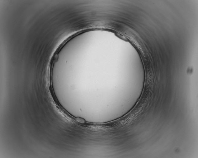 X0000098141132200805011337
