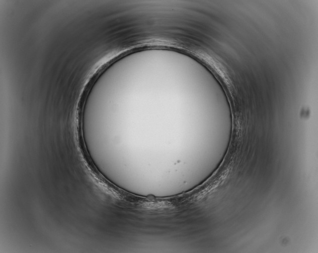 X0000098141133200805011337