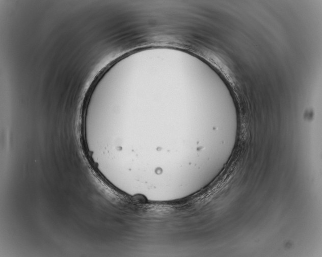 X0000098141136200805011338