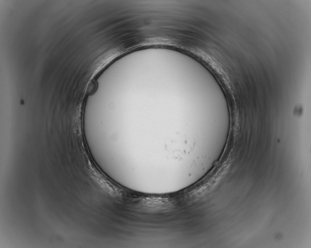 X0000098141137200805011338