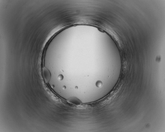 X0000098141138200805011338