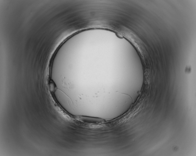 X0000098141140200805011338