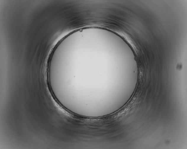 X0000098141143200805011338