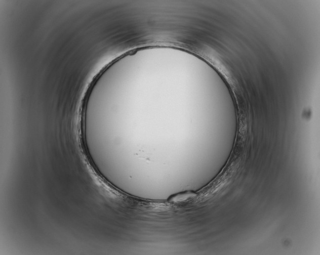 X0000098141144200805011338