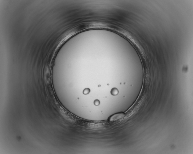 X0000098141145200805011338