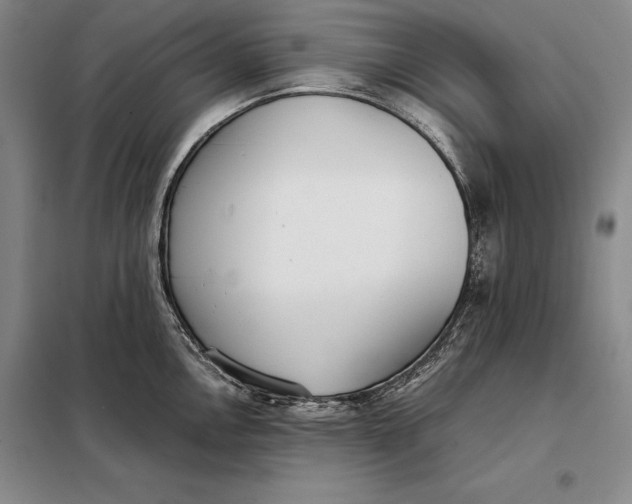 X0000098141146200805011338