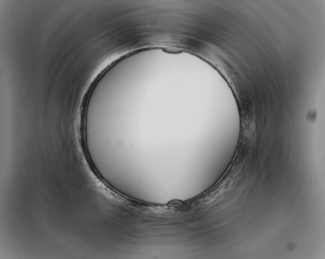 X0000098141147200805011338